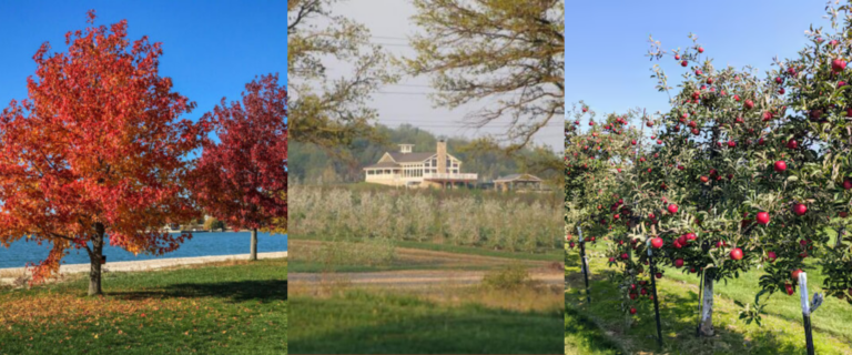 Top 5 Reasons to Visit Sandusky This Fall