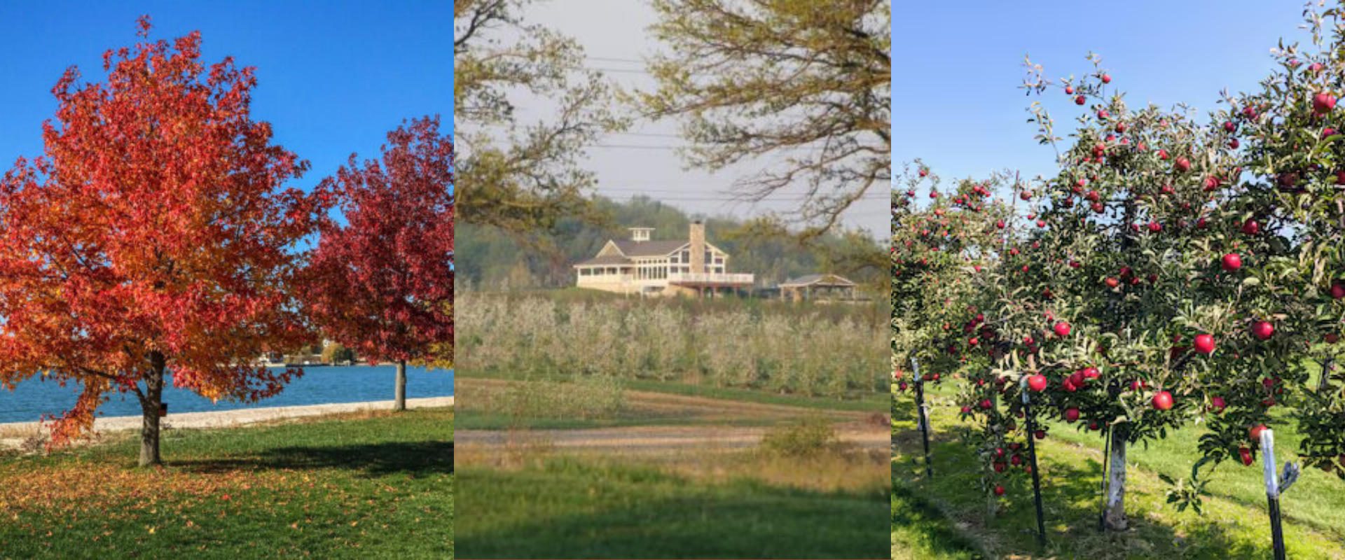 Top 5 Reasons to Visit Sandusky This Fall